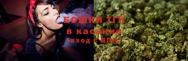 сатива Переславль-Залесский